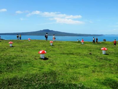 Auckland: Segway Tour to Mount Victoria - Waterfront practice and grassy slopes: your confidence warmup with real-world feel