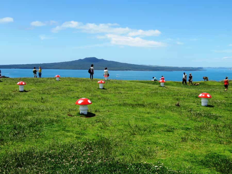 Auckland: Segway Tour to Mount Victoria - Waterfront practice and grassy slopes: your confidence warmup with real-world feel