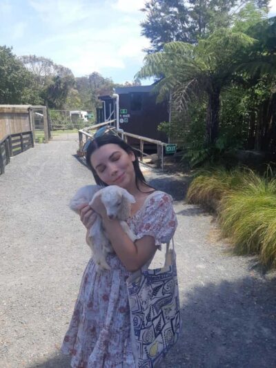 Auckland: Sheepworld, Honey Centre, & Kauri Trail Tour - The short stops that keep the day from feeling like a long ride