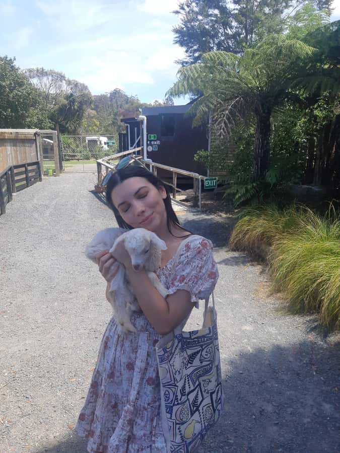 Auckland: Sheepworld, Honey Centre, & Kauri Trail Tour - The short stops that keep the day from feeling like a long ride