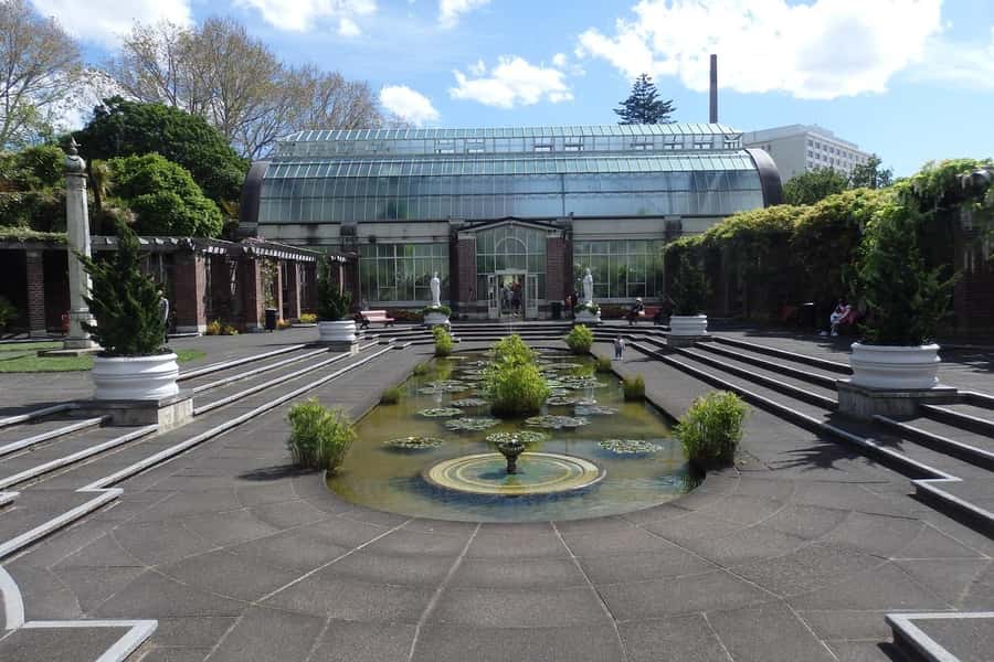 Auckland: Ship to Shore Full-Day Excursion - Two Volcanoes for Real 360-Degree Auckland Views