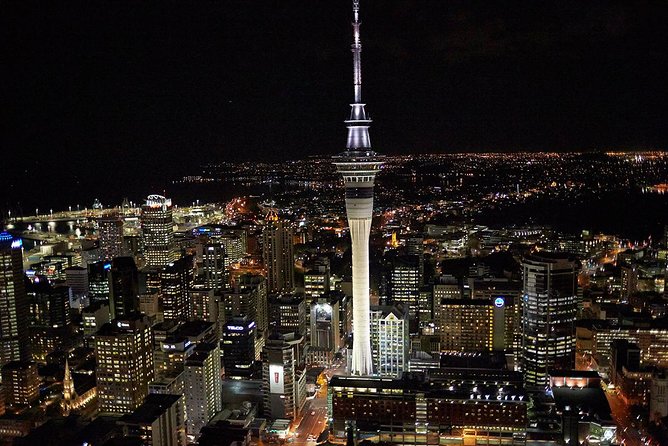 Auckland Shore Excursion: Half-Day Guided City Tour - Auckland Domain and Parnell Village: Green Space at City Speed
