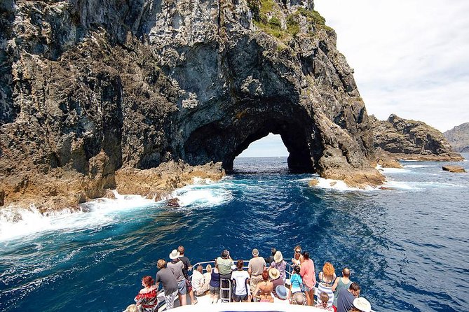 Auckland Sights Exclusive 4 Hour Luxury Day Tour - Mission Bay and St Helier’s Bay: beach time without the planning