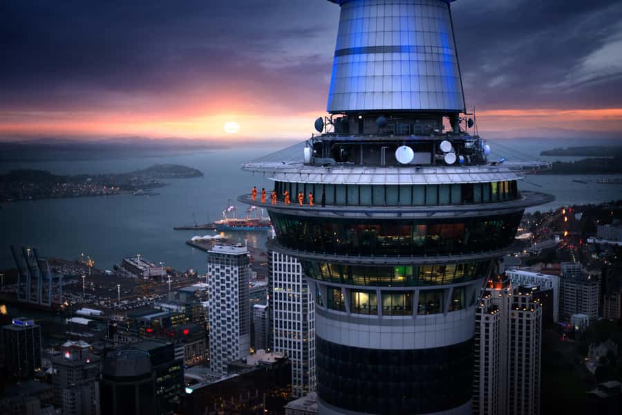 Auckland: Sky Tower SkyWalk - 192m High Edge Walk - Key points worth knowing before you step outside