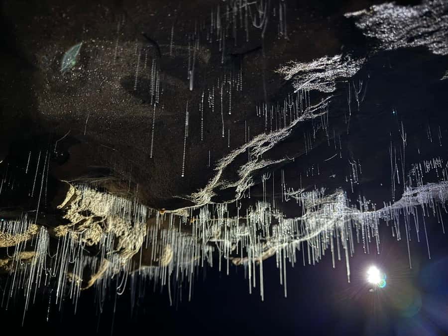Auckland: Spellbound Glowworm Caves Explorer Tour - Key things to know before you go
