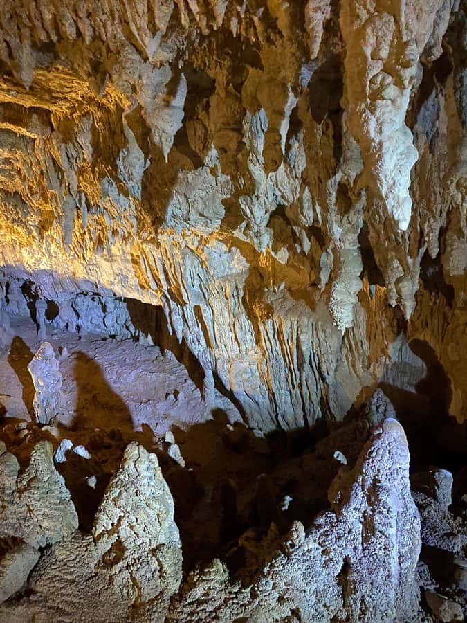 Auckland: Spellbound Glowworm Caves Explorer Tour - A 9-hour Auckland-to-Waitomo day trip that feels small