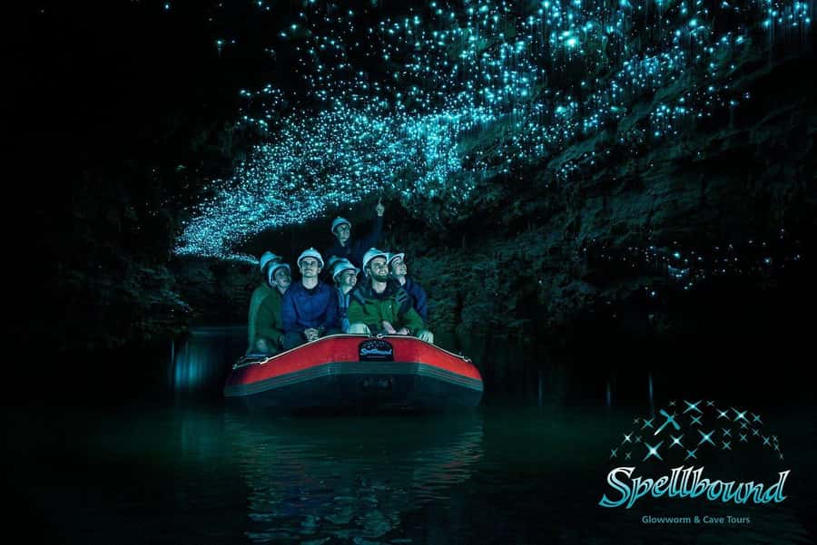 Auckland: Spellbound Glowworm Caves Explorer Tour - The boat ride moment: staring up at moving starlight
