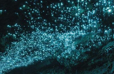 Auckland: Spellbound Glowworm Caves Explorer Tour - Spellbound’s two-cave combo: glowworm grotto plus Te Ana o Te Atua