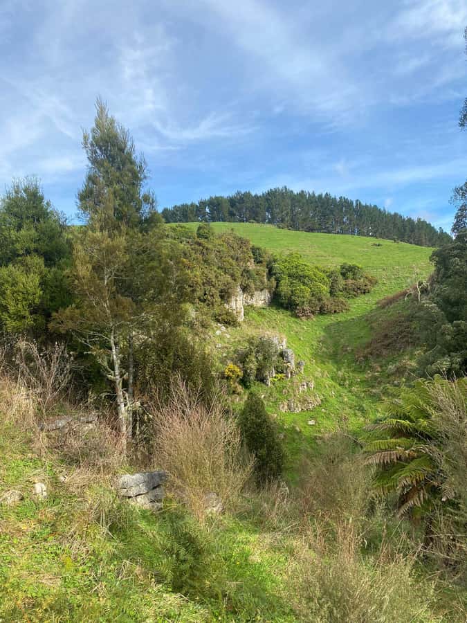 Auckland: Spellbound Glowworm Caves Explorer Tour - Should you book this Spellbound Glowworm Caves Explorer Tour?