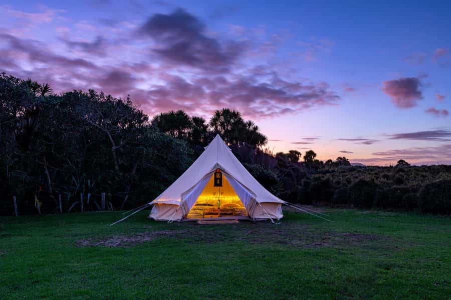 Auckland (Tawharanui): Wild Kiwi Bird Spotting Encounter - Should you book the Tawharanui Wild Kiwi Bird Spotting Encounter?
