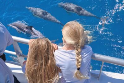 Auckland: Tikapa Moana Whales, Dolphins and Islands Cruise - Hauraki Gulf Wildlife Search: What This Cruise Is Really About