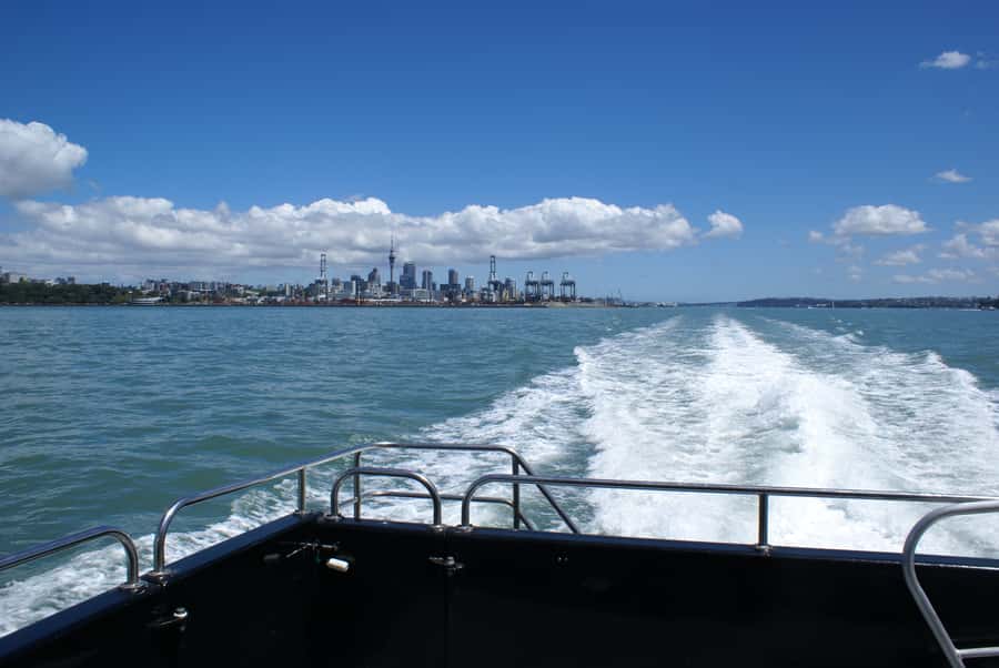 Auckland: Tikapa Moana Whales, Dolphins and Islands Cruise - Rotoroa Island or Man O’ War on Waiheke: Choose Your Island Mood