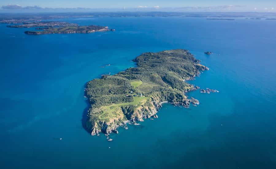 Auckland: Tiritiri Matangi Island Ferry - Key highlights you’ll care about