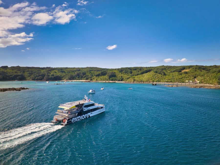 Auckland: Tiritiri Matangi Island Ferry - Tiritiri Matangi: why this day trip feels special