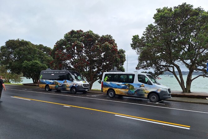 Auckland to Paihia via West Coast Small Group Tour (One Way) - Waipoua Forest walk: the Lord of the Forest moment