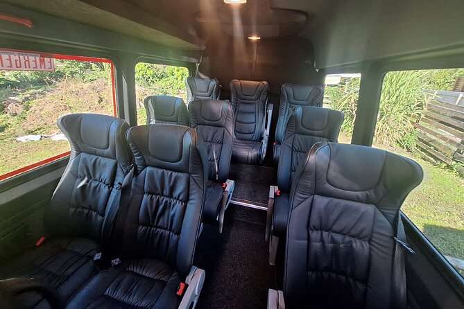 Auckland to Paihia via West Coast Small Group Tour (One Way) - Waitangi Treaty Grounds: guided context and a cultural performance