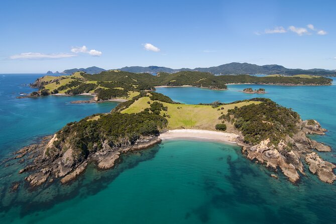 Auckland to Paihia via West Coast Small Group Tour (One Way) - Timing, pacing, and what to pack for a long day