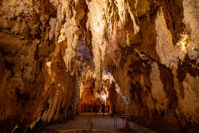 Auckland to Rotorua, Hobbiton and Waitomo 1 Way Small Group Tour - Waitomo Glowworm Caves: formations first, then the glow