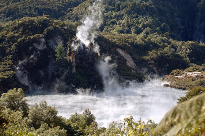 Auckland to Rotorua Private Tour - Auckland pickup and return: less hassle, more day