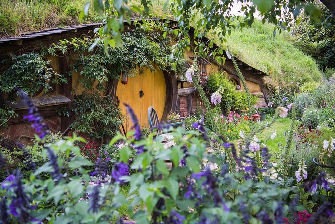 Auckland to Rotorua via Hobbiton Small Group Tour (One Way) - Price and value: is $204.17 fair for one-way with Hobbiton?