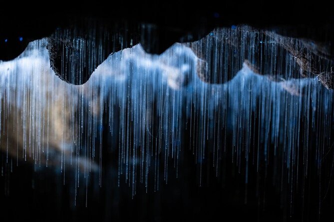 Auckland to Rotorua via Waitomo Caves Small Group Tour (One Way) - Price and inclusions: what you’re paying for, and what you’ll still need to cover