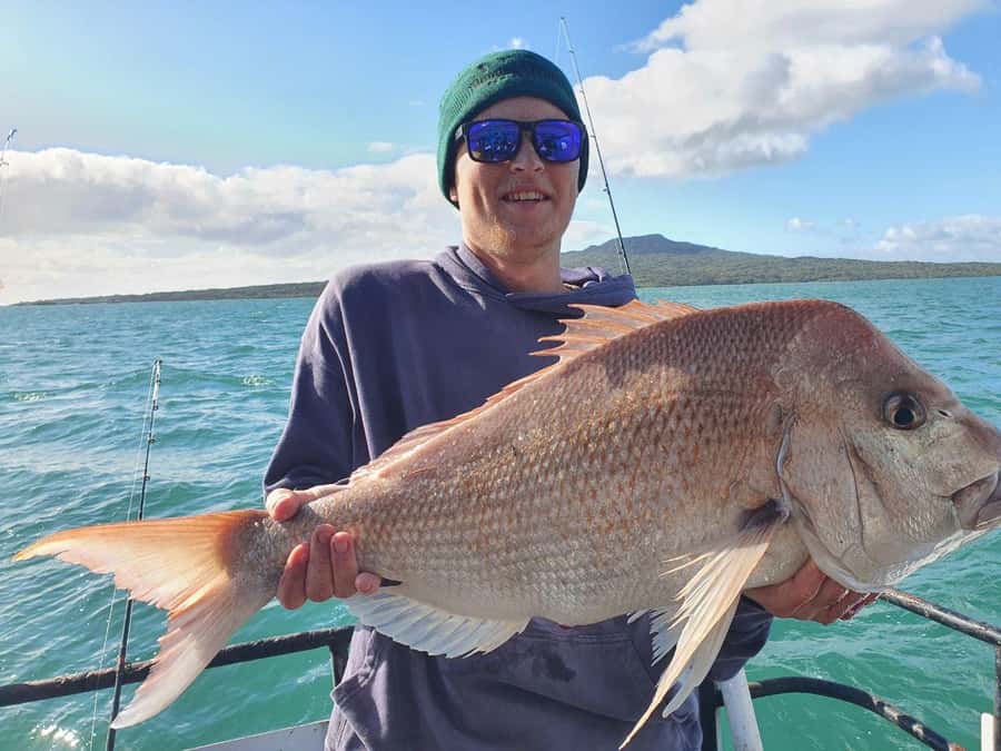 Auckland: Twilight Fishing Charter 5pm - 9:30pm - Key things to know before you go