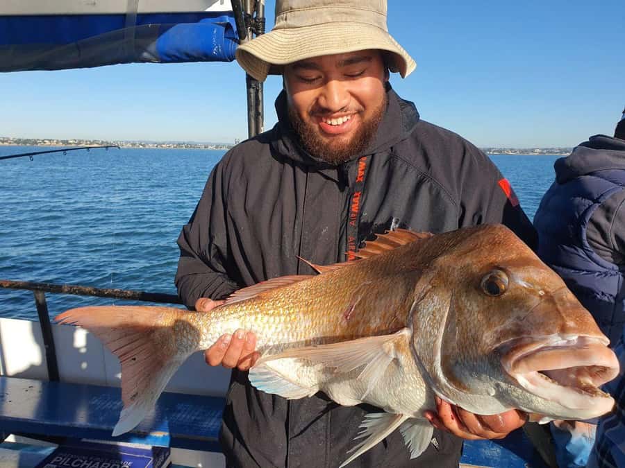 Auckland: Twilight Fishing Charter 5pm - 9:30pm - What You’ll Fish for: Snapper, Kahawai, Gurnard and More