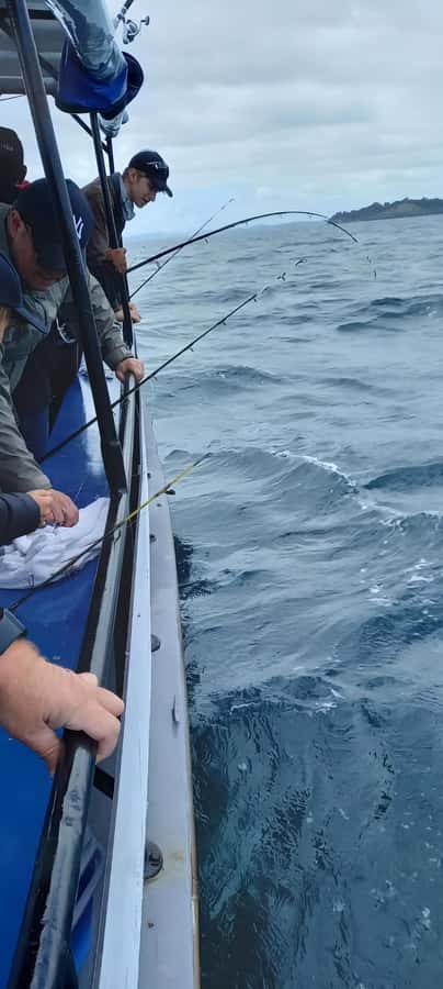 Auckland: Twilight Fishing Charter 5pm - 9:30pm - The 5pm–9:30pm Flow: Cruising, Casting, and Catch Management