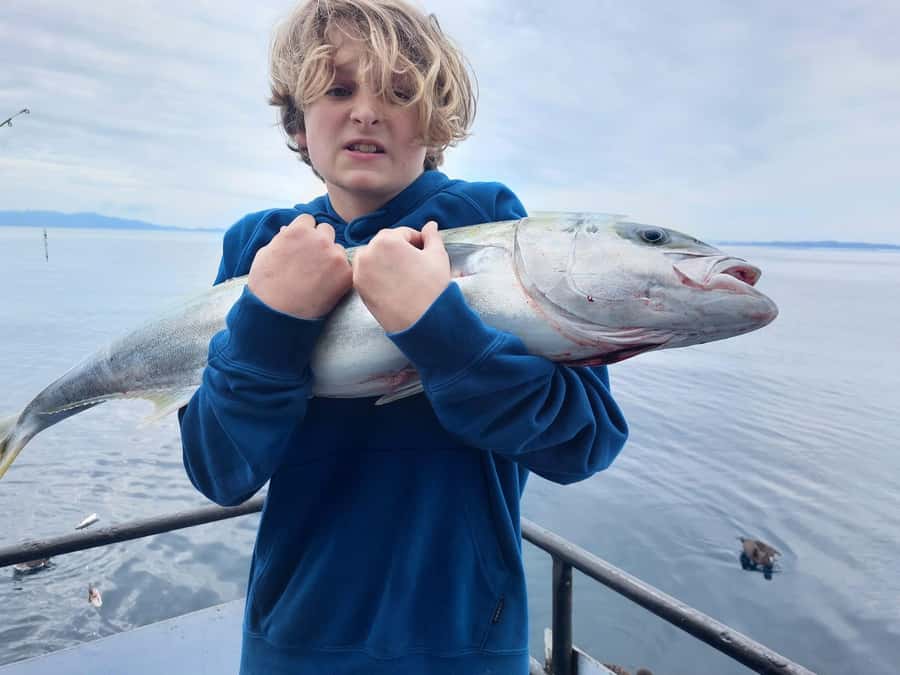 Auckland: Twilight Fishing Charter 5pm - 9:30pm - Crew Spot-Knowledge: Why You’ll Hear the Boat Chasing Specific Places