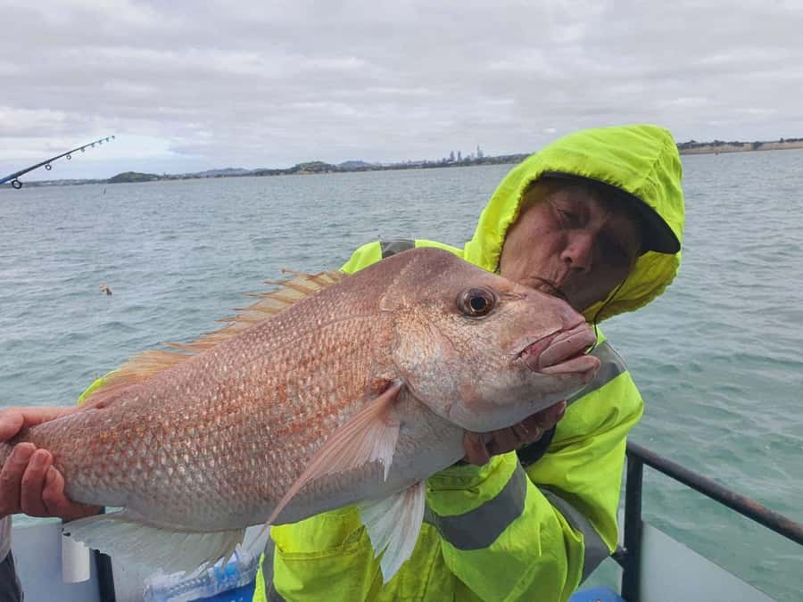 Auckland: Twilight Fishing Charter 5pm - 9:30pm - Who This Charter Suits Best