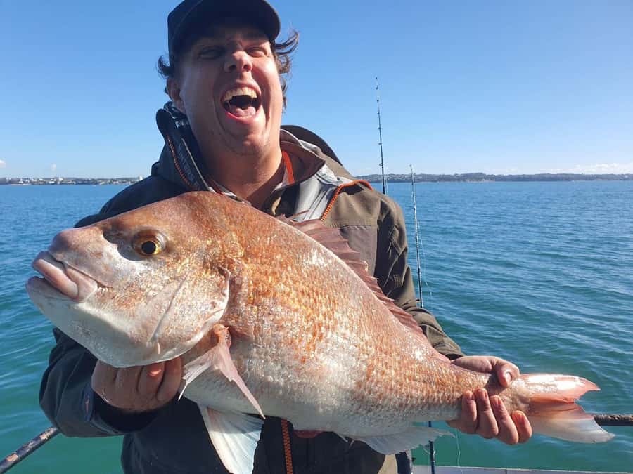 Auckland: Twilight Fishing Charter 5pm - 9:30pm - Where You Meet Red Boats at Westhaven Marina