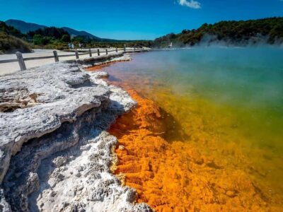 Auckland: Wai-O-Tapu, Maori Haka & Hot Springs Rotorua Tour - Lady Knox Geyser: Watching a Daily Eruption in Real Life