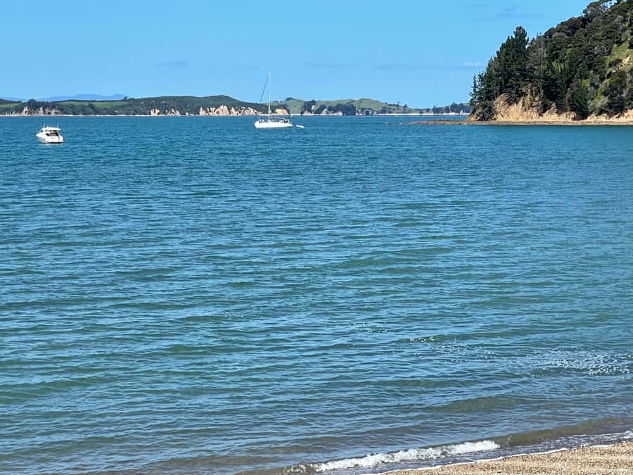 Auckland: Waiheke Island Luxury Experience Private Tour - The award-winning olive oil estate: harvesting demo to extra virgin tasting