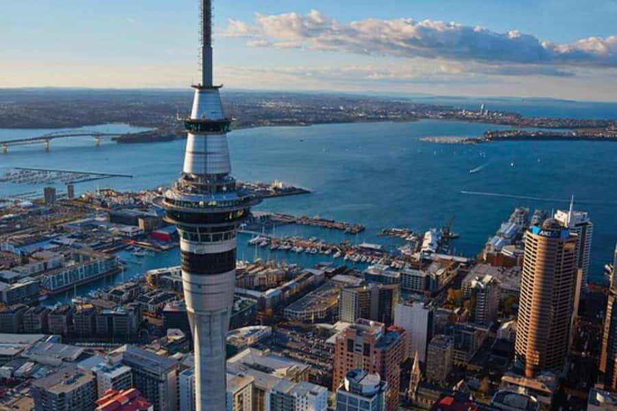 Auckland: Waiheke Island Wine and Food Tasting with Flights - Batch Vineyard: where the tasting starts and the views do the talking