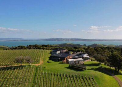 Auckland: Waiheke Island Wine and Food Tasting with Flights - Getting from Auckland to Waiheke: pickup, van ride, and flight timing