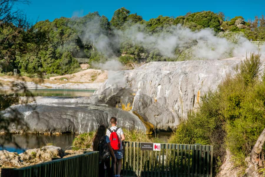Auckland: Waitomo Caves & Te Puia Rotorua w Picnic Lunch - Auckland to Waitomo and Rotorua in one day: how the timing feels