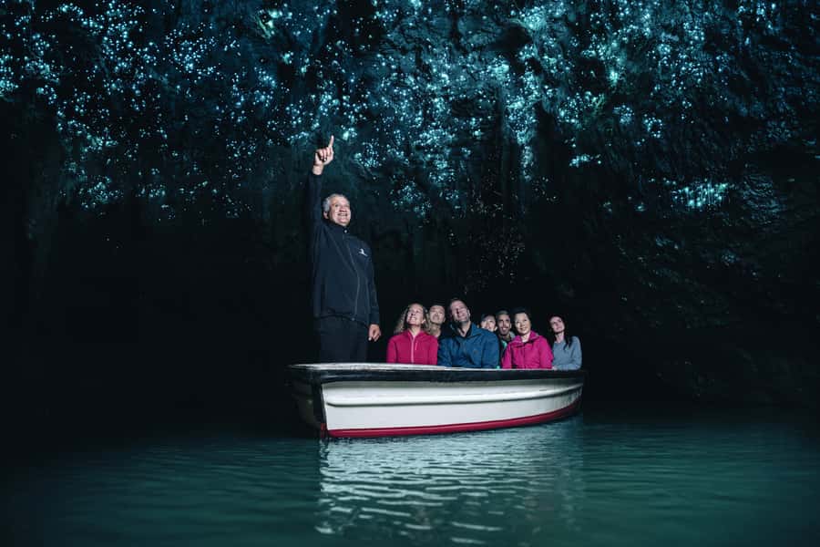 Auckland: Waitomo Caves & Te Puia Rotorua w Picnic Lunch - The Waikato drive: long hours, but the guide turns it into more than transit