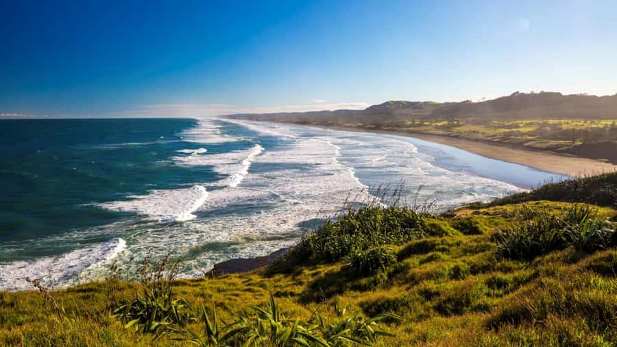Auckland: West Coast Discovery - Key things to know before you go