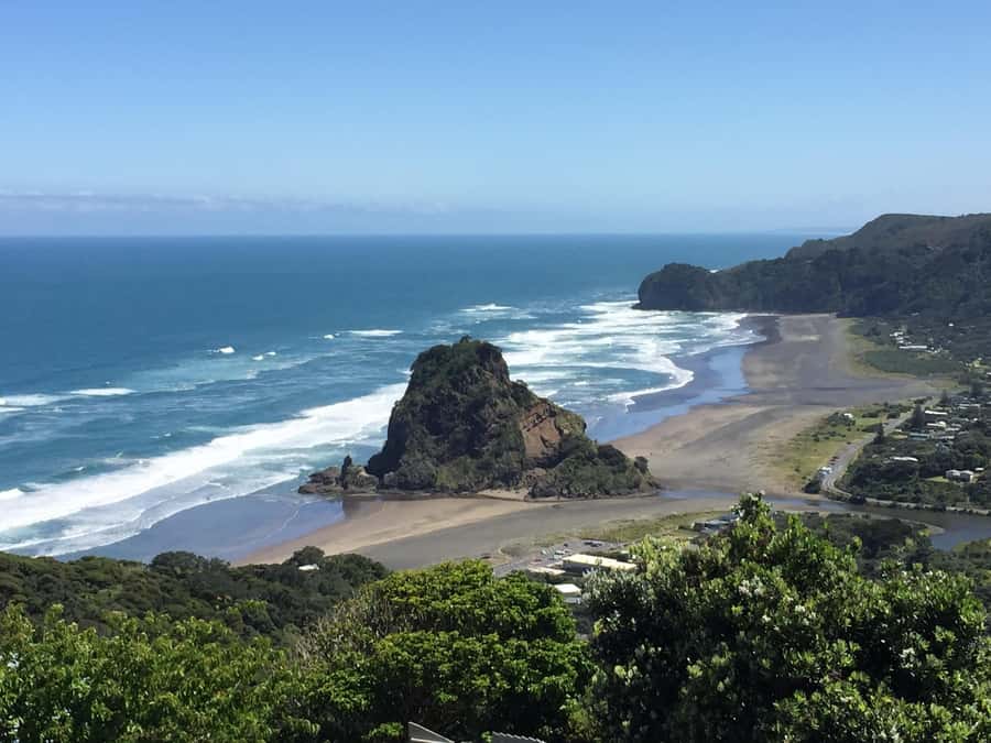 Auckland: West Coast Discovery - Getting From Auckland CBD to the Waitakere Ranges in a Mercedes Van