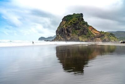 Auckland West Coast Half-Day Private Tour - Arataki Visitor Centre: Get the Story Before the Scenery