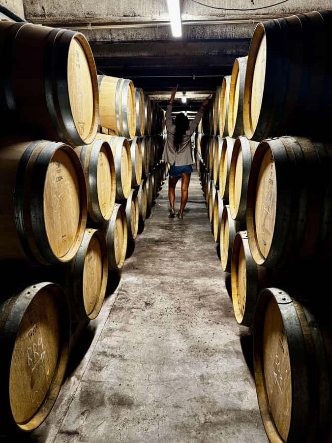 Auckland: Wine region tour with tastings and gourmet lunch - The Hunting Lodge: lunch with a wine pairing that actually fits