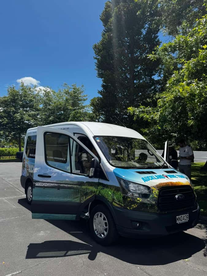 Auckland: Wine region tour with tastings and gourmet lunch - How the tastings and lunch timing work in real life