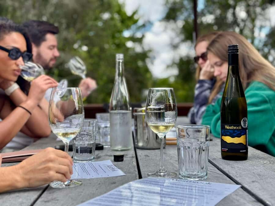 Auckland: Wine region tour with tastings and gourmet lunch - Price and value: what $322 buys you