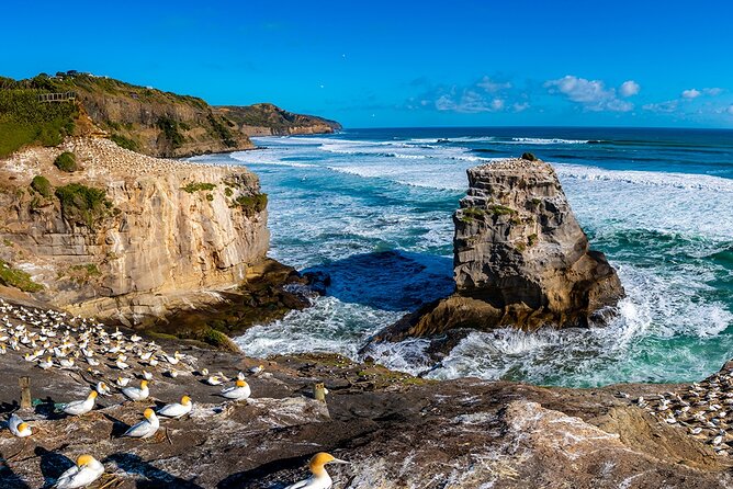 Auckland's Wild West Coast & Black Sand Beaches Tour inc Lunch - Hallertau Brewery lunch: included meal, optional craft tasting