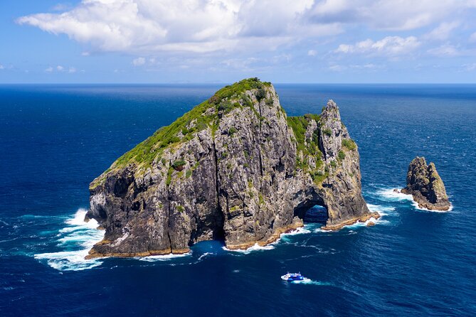 Bay of Islands Discovery Experience from Auckland incl. Hole In The Rock Cruise - Wildlife watching with a conservation angle (and why it’s still worth it)