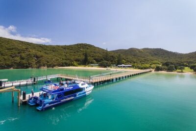Bay of Islands Discovery Experience from Auckland incl. Hole In The Rock Cruise - Urupukapuka + Otehei Bay: your 1.5-hour island break