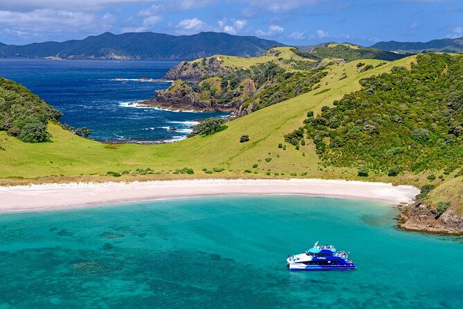 Bay of Islands Discovery Experience from Auckland incl. Hole In The Rock Cruise - Who should book this private Bay of Islands day trip?