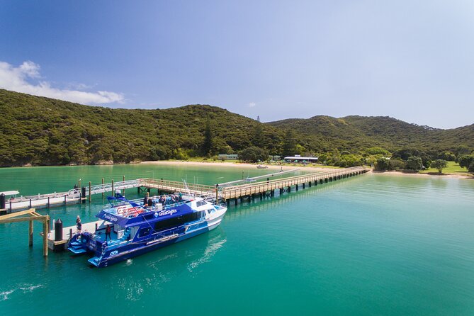 Bay of Islands Discovery Experience from Auckland incl. Hole In The Rock Cruise - Urupukapuka + Otehei Bay: your 1.5-hour island break
