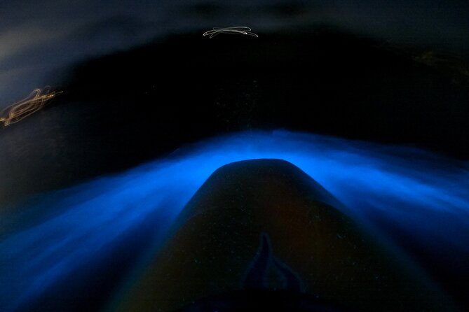 Bioluminescence Kayak Tour - Est. 1994 - The Auckland Night Kayak That Swaps City Lights for Ocean Spark