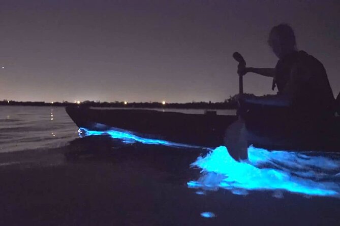 Bioluminescence Kayak Tour - Est. 1994 - Guides You Can Trust: Friendly Instruction and Safety-First Mindsets